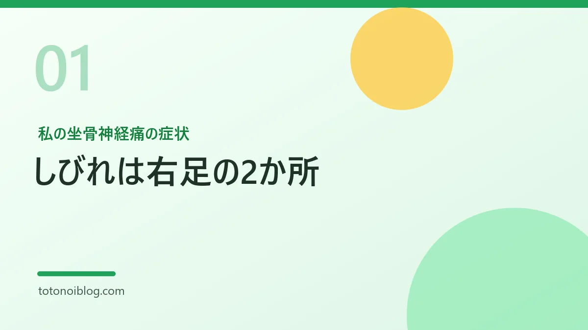 私の坐骨神経痛の症状を説明するセクション見出し画像